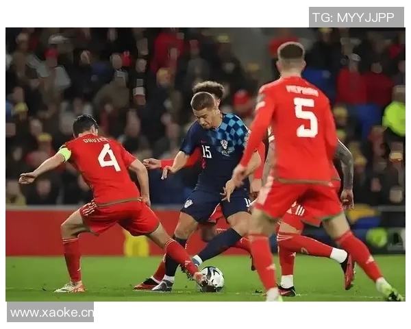 AFC温布尔登对查尔顿精彩直播全程回顾与赛后分析 AFC温布尔登对查尔顿精彩直播全程回顾与赛后分析