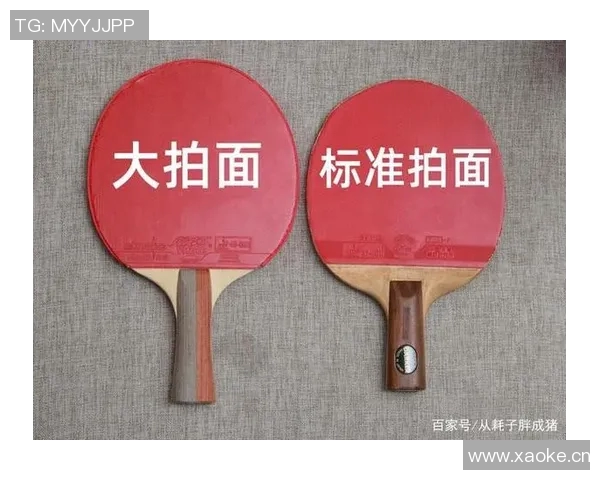 乒乓球新手必看灵活性训练技巧与入门指南全解析 乒乓球新手必看灵活性训练技巧与入门指南全解析