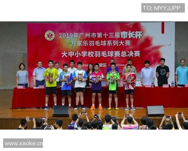 广州羽毛球队实力分析与数据解读：揭示其竞技表现与发展潜力