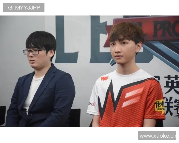 深入分析WE战队的控制策略与战术执行细节 深入分析WE战队的控制策略与战术执行细节